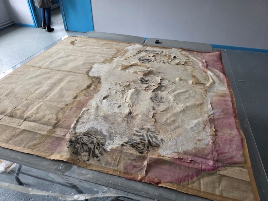 Expertise mycologique : Musée Lorrain – Palais des Ducs de Lorraine