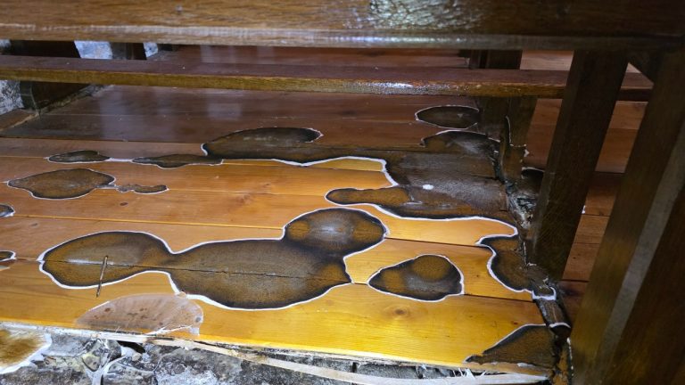 Mérule dans une église : quand la conception des travaux aggrave le problème d&rsquo;humidité